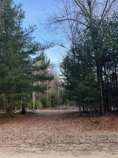 6243 Hillside, Alger, MI 48610