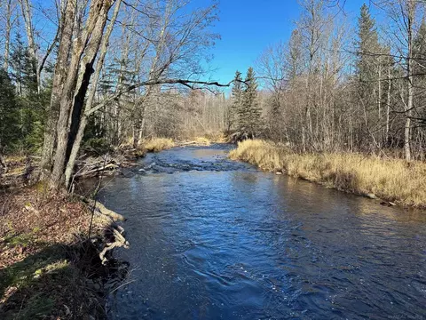Tbd Jh, Skandia, MI 49855