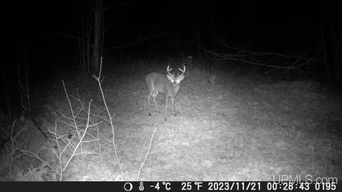 Other - n6985 Olson Road, Shingleton, MI 49884 photo 25 of 25