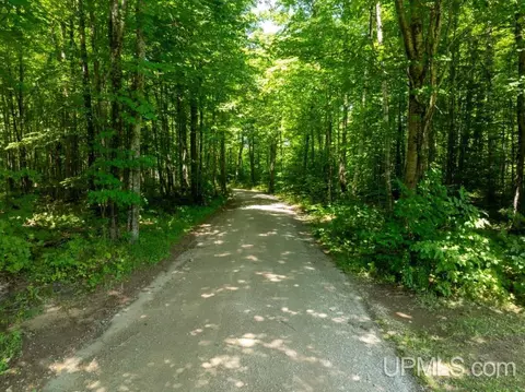 Other - n6985 Olson Road, Shingleton, MI 49884 photo 23 of 25
