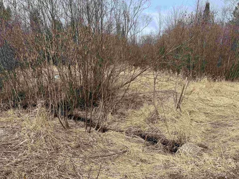 Tbd Dalton, Skandia, MI 49885