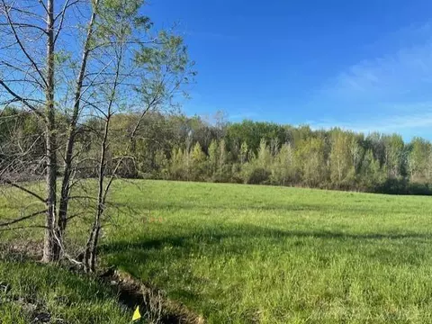 75353 Sanctuary, Bruce, MI 48065 photo 5