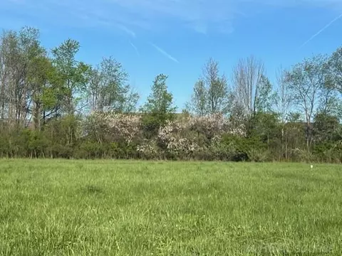 75353 Sanctuary, Bruce, MI 48065 photo 6