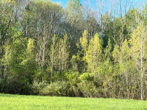 75353 Sanctuary, Bruce, MI 48065 photo 2