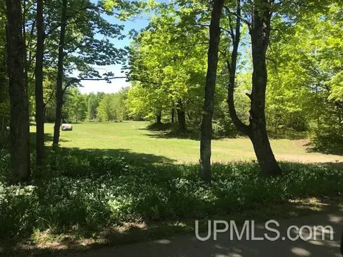 e12375 Olson Road, Shingleton, MI 49884