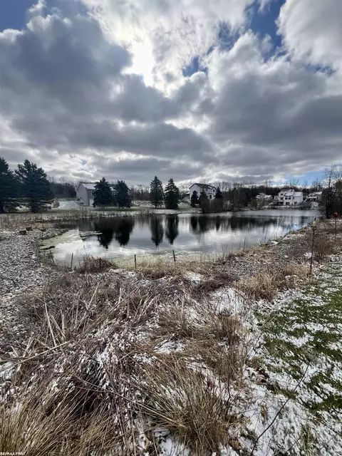 View/Area - 14199 Mulholland Dr, Bath, MI 48808 photo 4 of 4