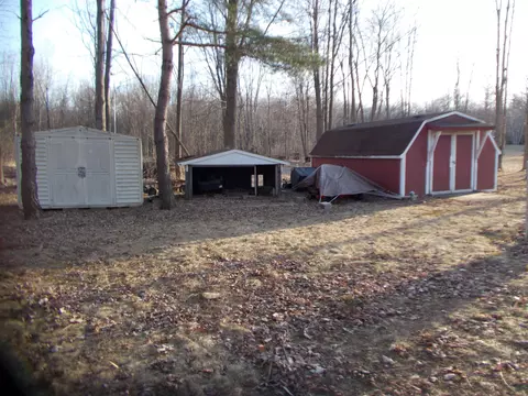 10336 E Deerfield, Shepherd, MI 48883 photo 21