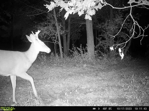 0 Hessen, Casco, MI 48064 photo 5
