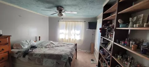 Bedroom - 7376 Marshall, Olivet, MI 49076 photo 3 of 5
