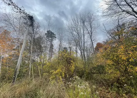 Curtis, Birch Run, MI 48415