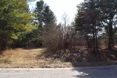 Lot 13 Queens Way, Gladwin, MI 48624