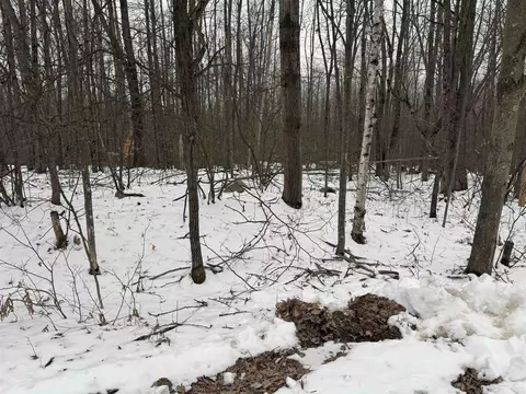 Lot 1284 Red Fox Run, Farwell, MI 48622