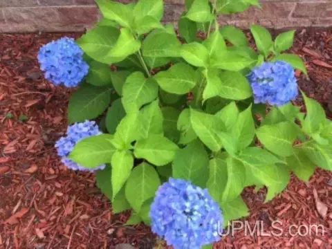 Exterior - 786 Juniper, Ishpeming, MI 49849 photo 12 of 15