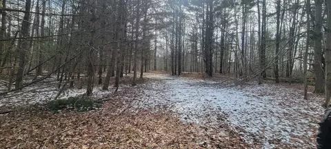 View/Area - 7633 W Dyer, Twining, MI 48766 photo 5 of 7