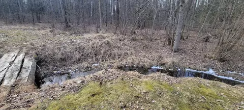 View/Area - 7633 W Dyer, Twining, MI 48766 photo 3 of 7