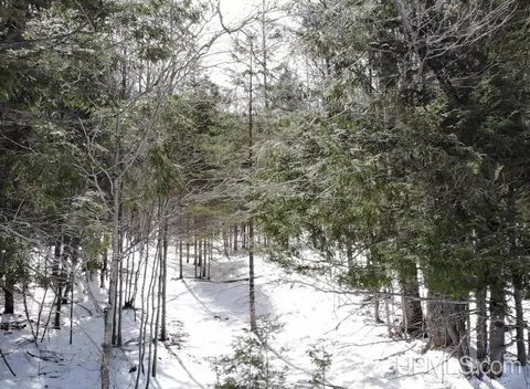 Tbd210 Rousseau, Mass City, MI 49948