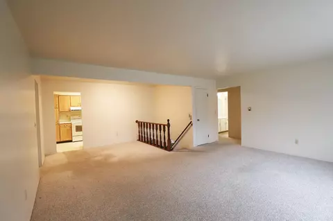 5296 Vineyard, Flushing, MI 48433 photo 4