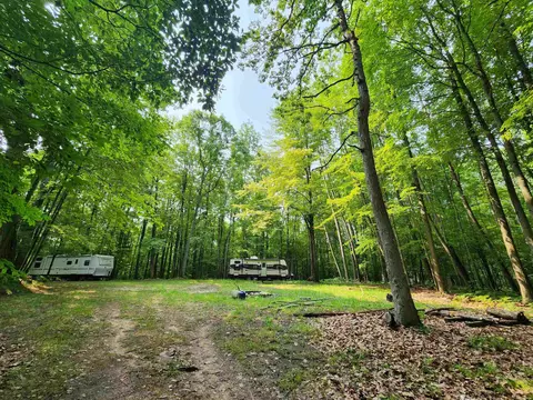 1317 Spruce Hill Drive, Farwell, MI 48622