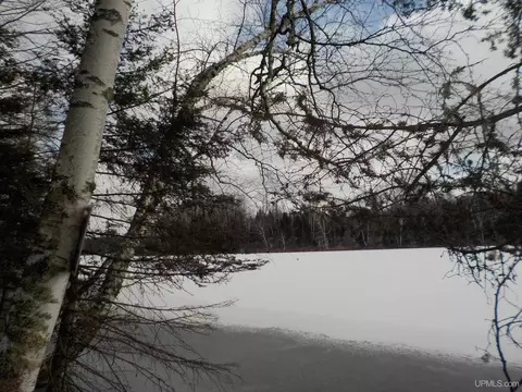 1 52 Ac Bates Amasa, Crystal Falls, MI 49920