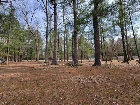 Vl Maple Point, Beaverton, MI 48612 photo 2