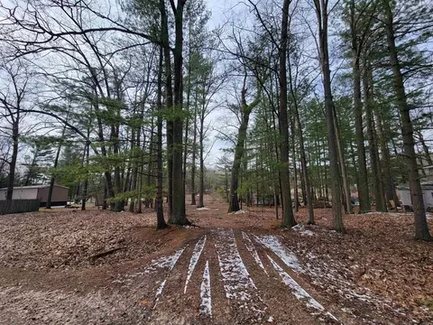 Vl Maple Point, Beaverton, MI 48612 photo 4