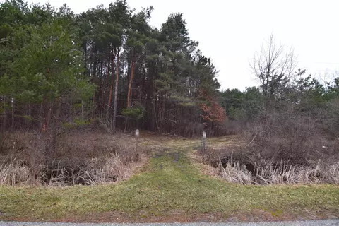 Vl E Mier, Sanford, MI 48657