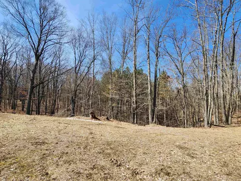 5414 Wolf, Farwell, MI 48622 photo 10
