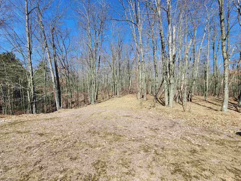 5414 Wolf, Farwell, MI 48622 photo 8