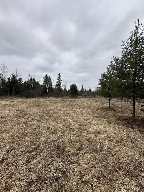 40 Acres Cedardale 28th, Cornell, MI 49818 photo 19