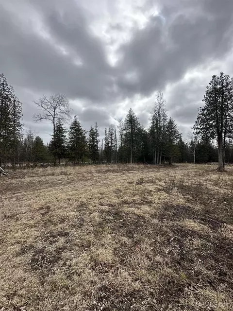 40 Acres Cedardale 28th, Cornell, MI 49818 photo 16