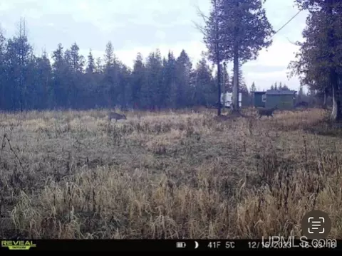 40 Acres Cedardale 28th, Cornell, MI 49818 photo 6