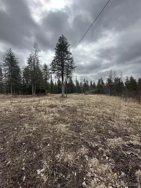 40 Acres Cedardale 28th, Cornell, MI 49818 photo 17