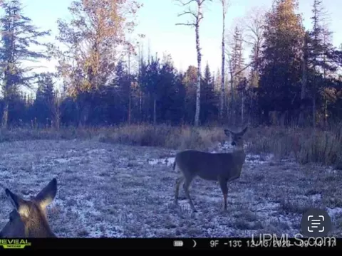 40 Acres Cedardale 28th, Cornell, MI 49818 photo 5