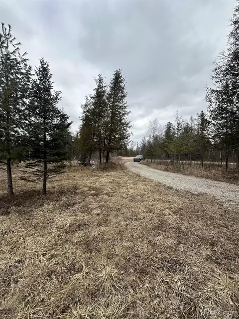 40 Acres Cedardale 28th, Cornell, MI 49818 photo 18