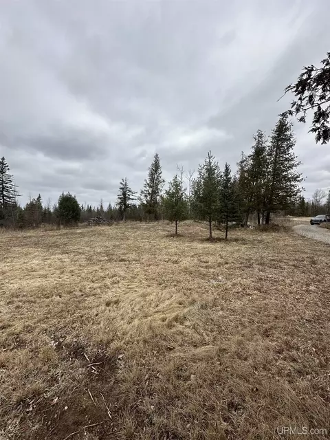 40 Acres Cedardale 28th, Cornell, MI 49818 photo 15