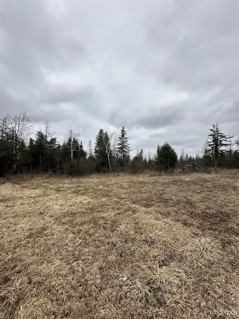 40 Acres Cedardale 28th, Cornell, MI 49818 photo 13