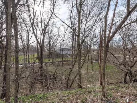 View/Area - 13332 Stowell, Dundee, MI 48131 photo 5 of 13