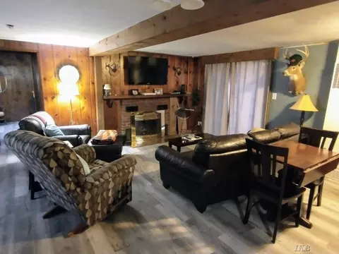 Living - 513 Ithaca, Harrison, MI 48625 photo 4 of 5