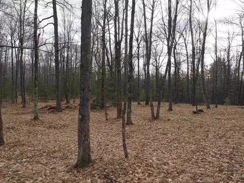 Woodland, Daggett, MI 49821