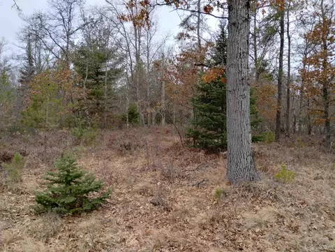 tbd Schaawe Lake 24th, Rapid River, MI 49878