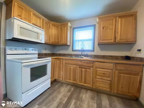 1087 Chrysler, Mount Morris, MI 48458 photo 9