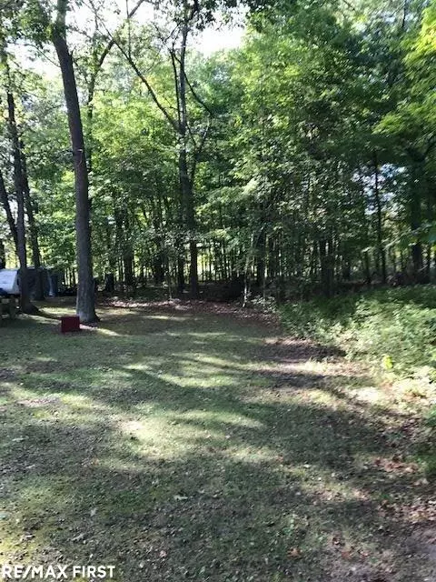 2166 Green, Au Gres, MI 48703 photo 3