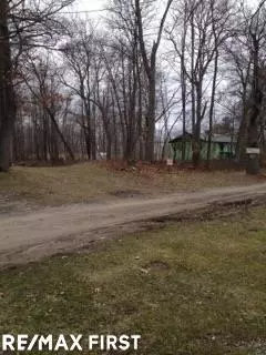 2166 Green, Au Gres, MI 48703 photo 9