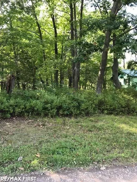 2166 Green, Au Gres, MI 48703 photo 7