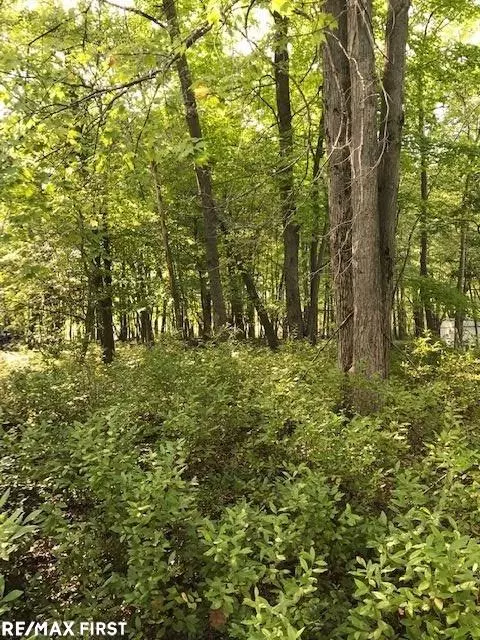 2166 Green, Au Gres, MI 48703 photo 8