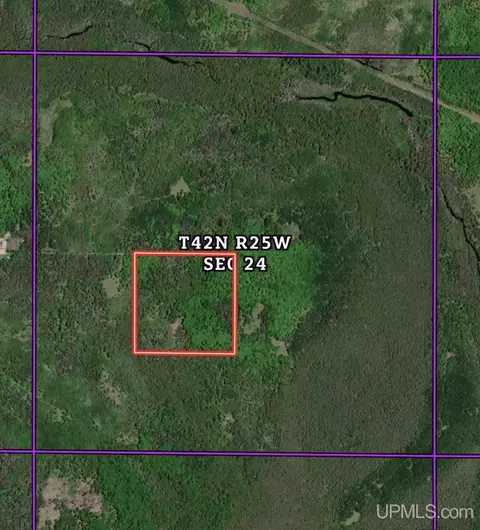 Tbd Off County Highway S A E, Cornell, MI 49818 photo 2