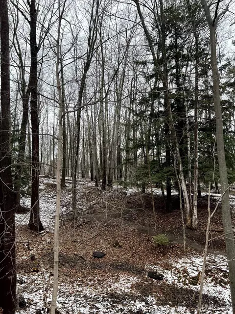Tbd 3 Acres Off Mcmaster, Skandia, MI 49885
