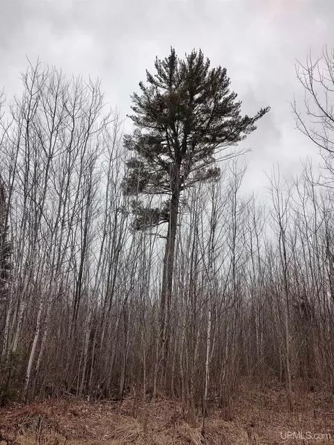Tbd Skanee, L'anse, MI 49946 photo 26