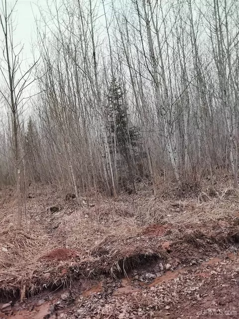Tbd Skanee, L'anse, MI 49946 photo 36