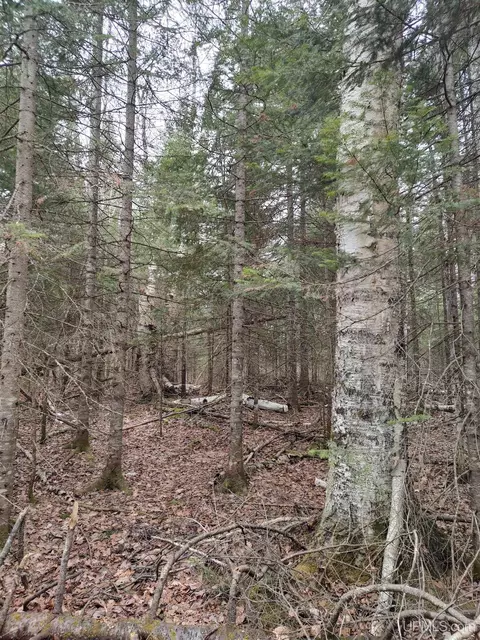 Tbd Skanee, L'anse, MI 49946 photo 7